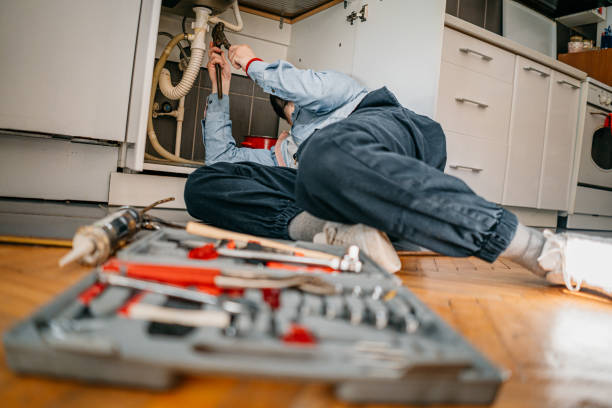 Best Same-Day Plumbing Service  in Dansville, NY