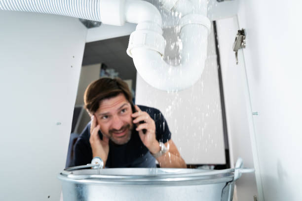 Best Toilet Repair Services  in Dansville, NY