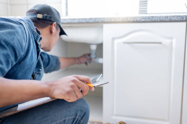 Best Local Plumber Services  in Dansville, NY